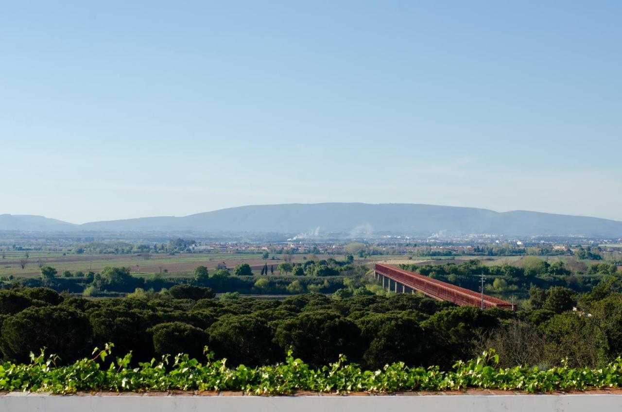 Convento Inn And Artists Residency Chamusca  Экстерьер фото