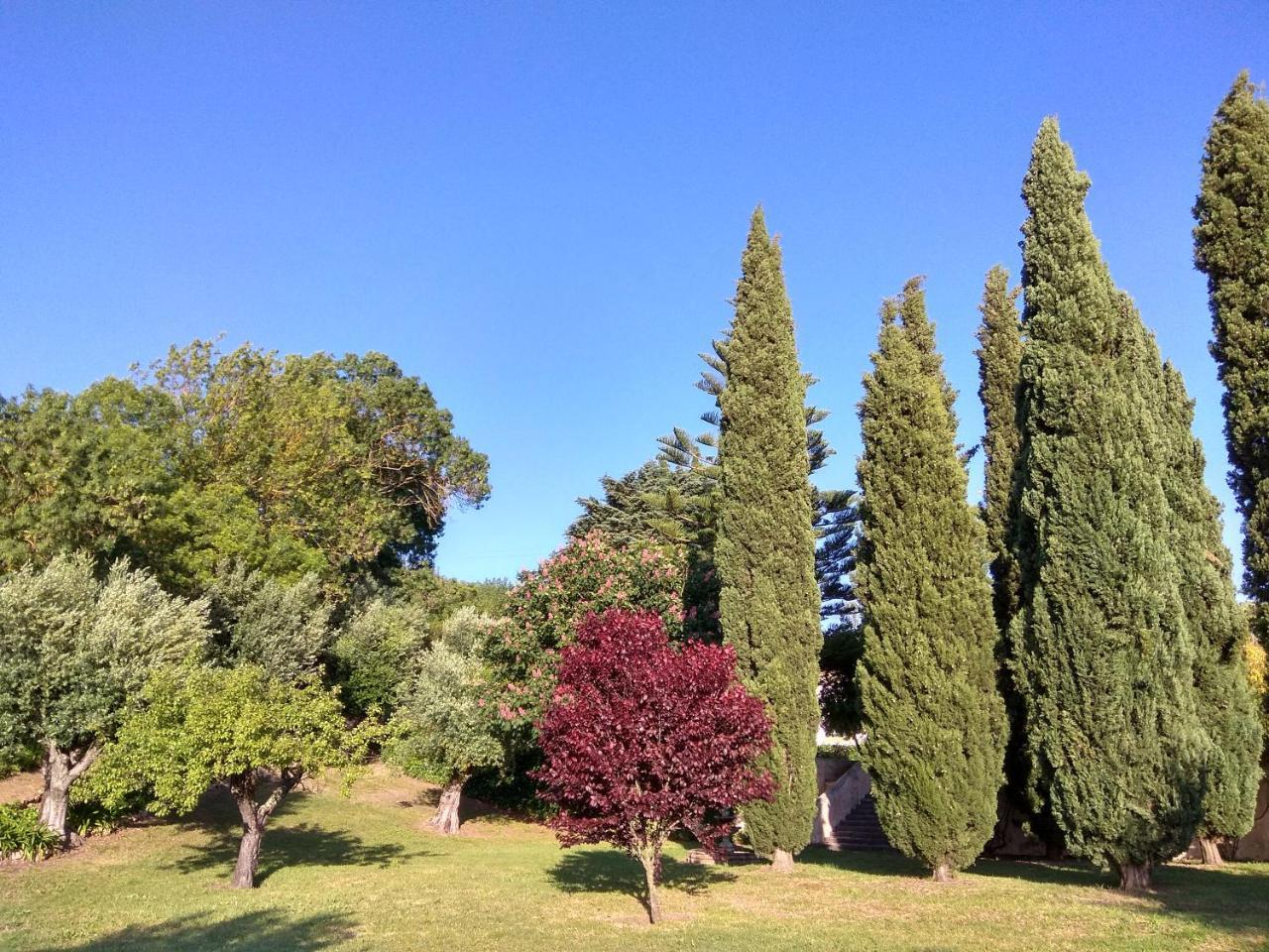Convento Inn And Artists Residency Chamusca  Экстерьер фото