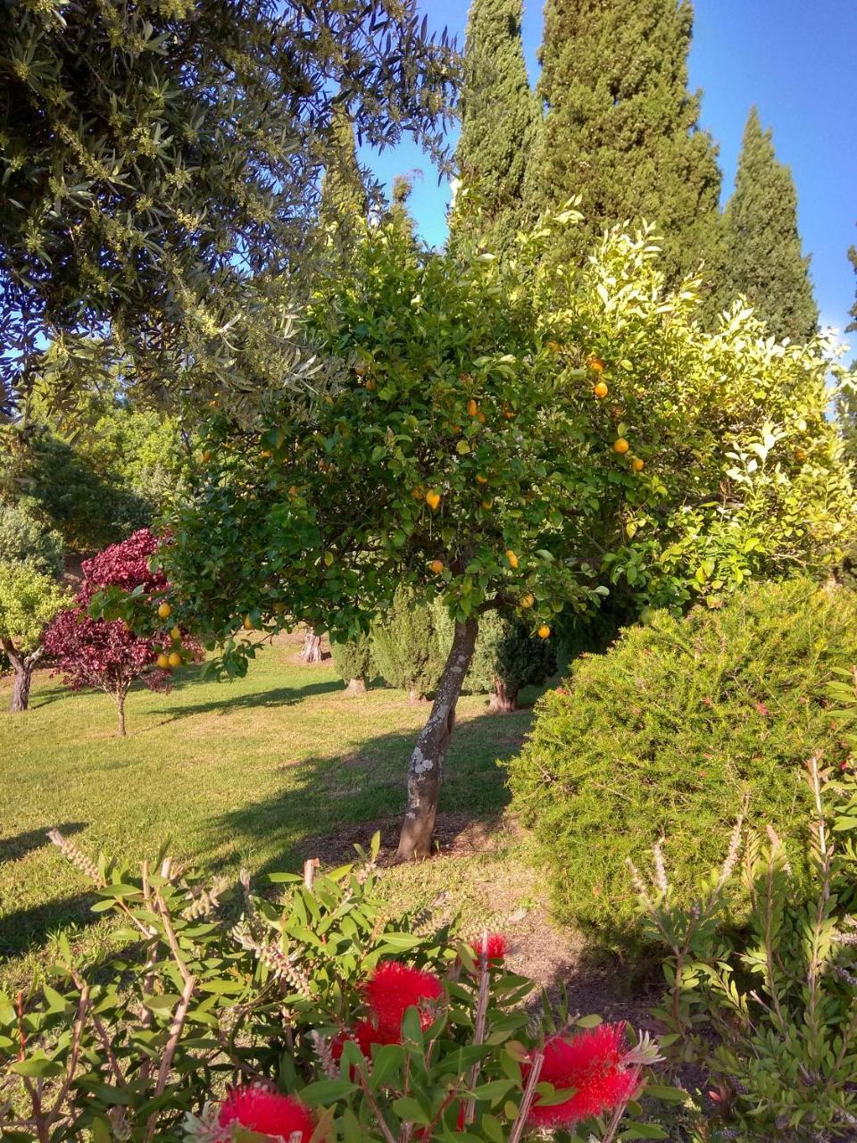 Convento Inn And Artists Residency Chamusca  Экстерьер фото